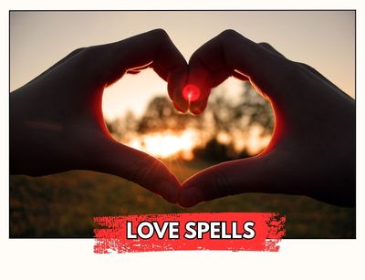 Psychic Balaji in USA